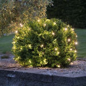 Star Trading, LED-Lichternetz - 160 LED - 2m x 2m - warmweiß Star Trading, LED-Lichternetz - 160 LED - 2m x 2m - warmweiß